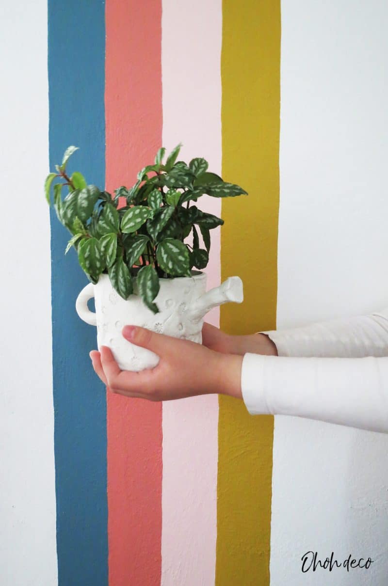 Use air clay to recycle a plastic container into a cute planter