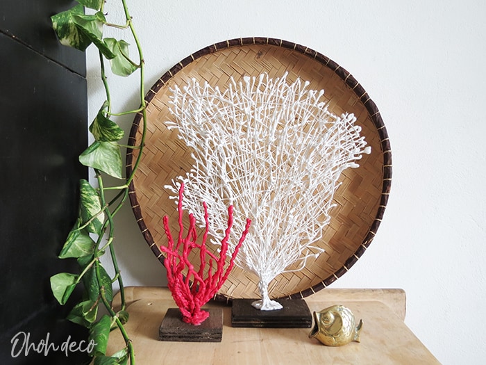 DIY coral