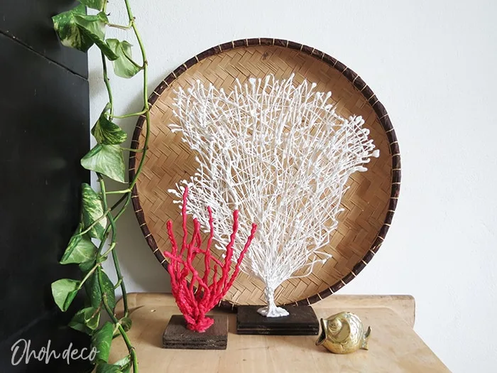 DIY coral