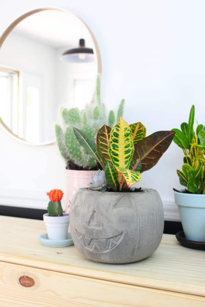 20 Easy Pumpkin crafts ideas