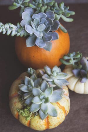 20 Easy Pumpkin crafts ideas