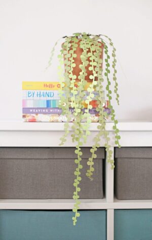 diy paper succulent