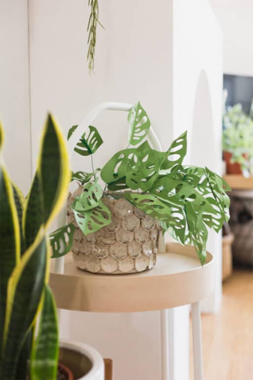 DIY fake plants 30 fun and with unexpected ideas