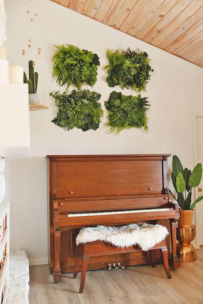 diy wall plant frame