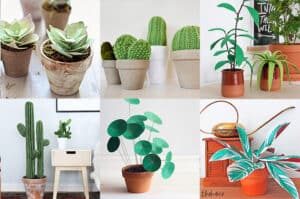 DIY fake plants