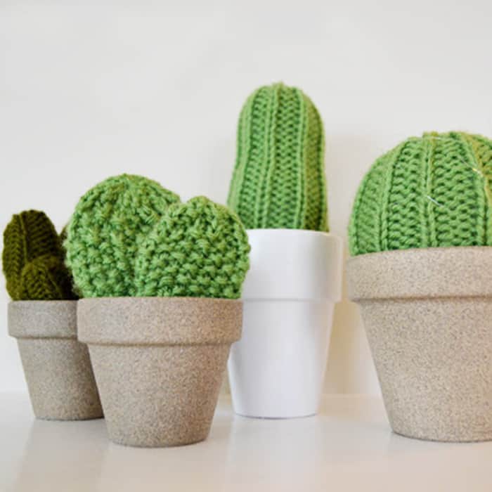 DIY knit cactus