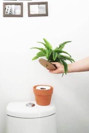 fake plant with storage