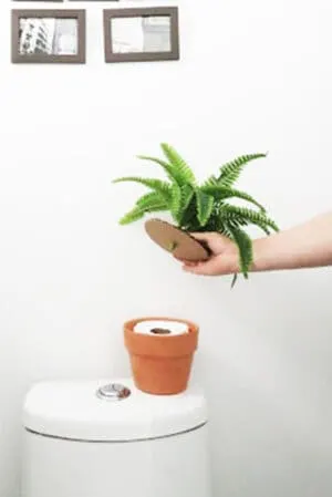 fake plant with storage