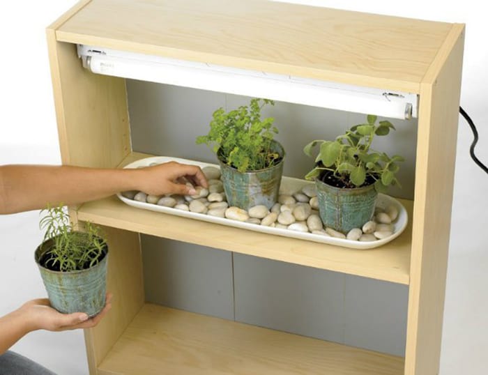 diy bookcase herb garden with grow light