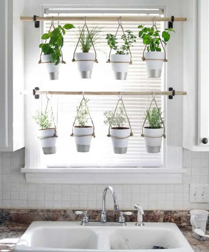 window hanging herb palnter