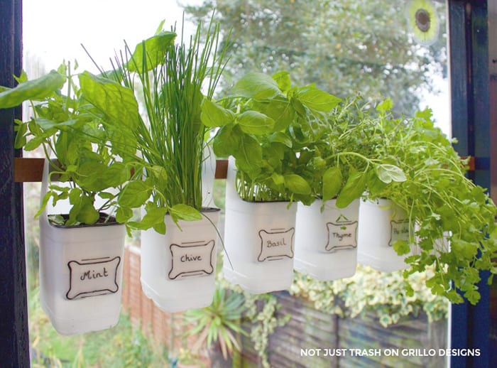 recycled herbs garden