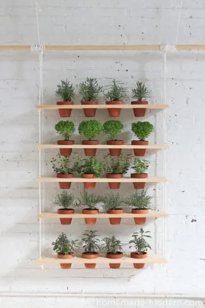wall hanging indoor planter