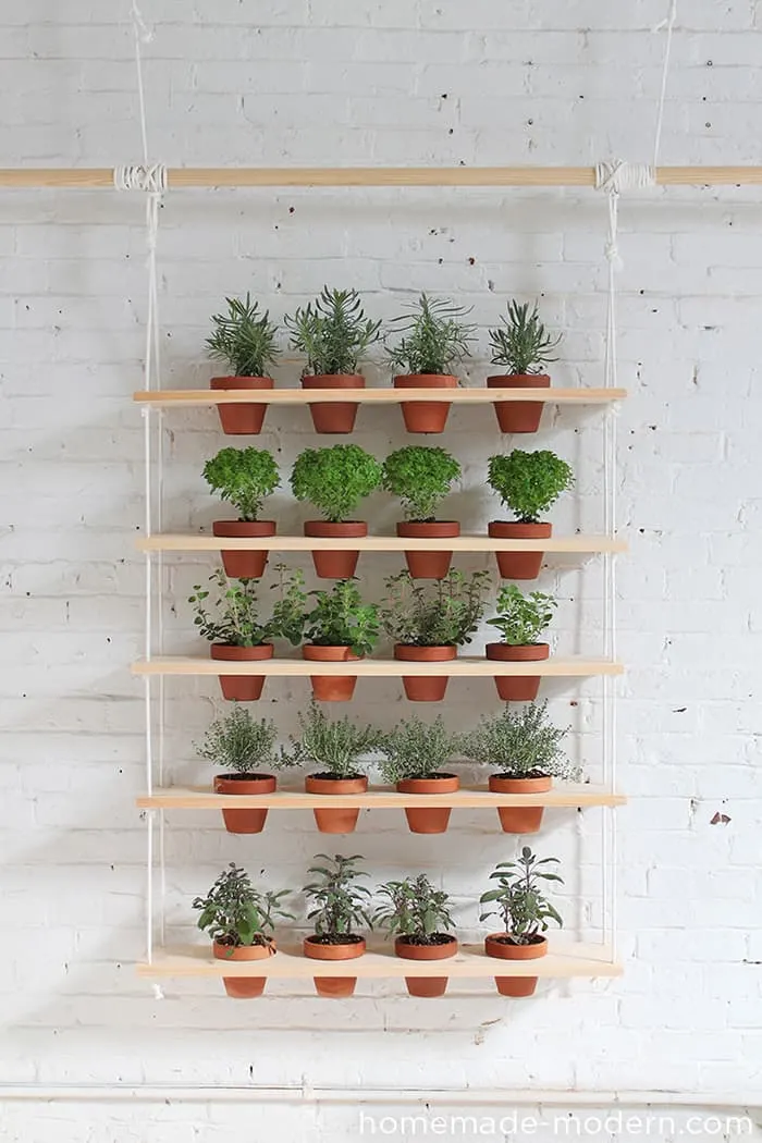 wall hanging indoor planter