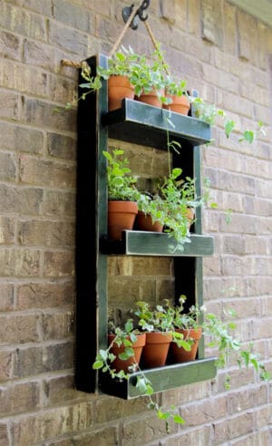 diy shelf herbs garden