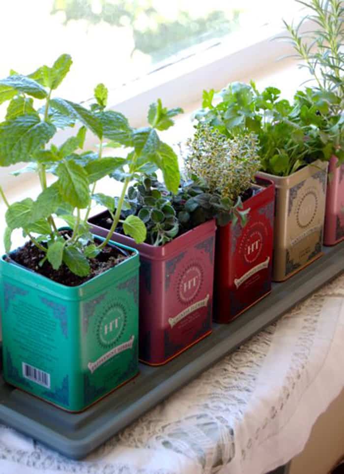 recycled tea boxes into planters