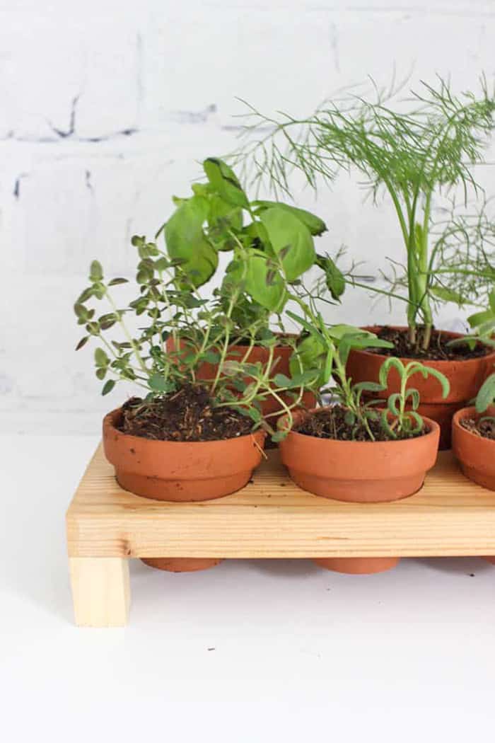 diy indoor herbs garden stand