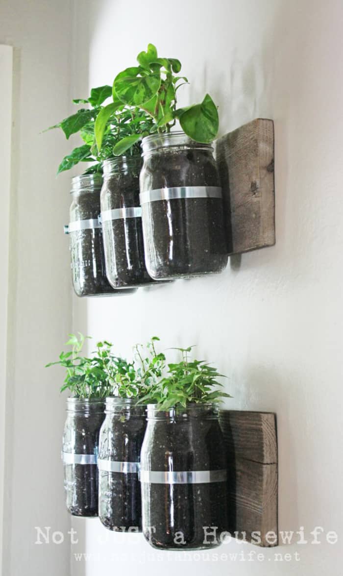 wall hanging herbs garden in mason jars