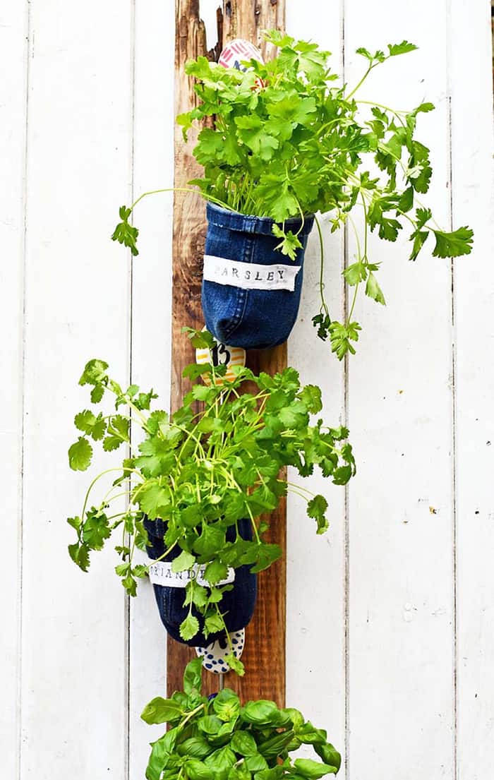 Make An Indoor Herb Planter - In 10 Minutes! • Grillo Designs