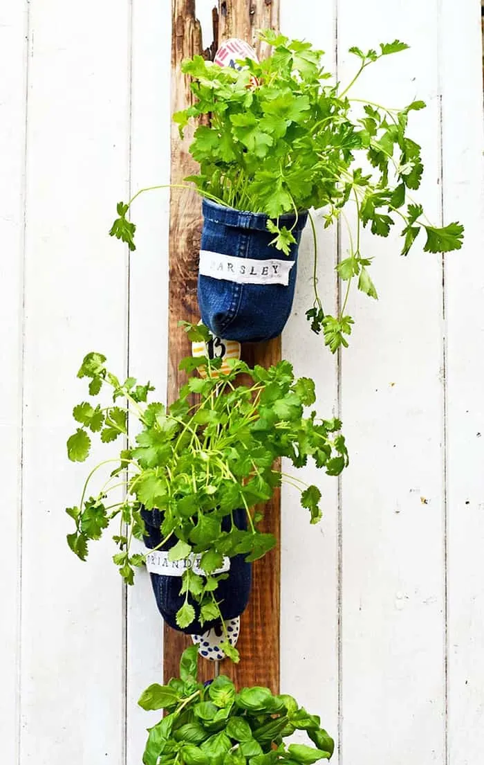 diy denim planters