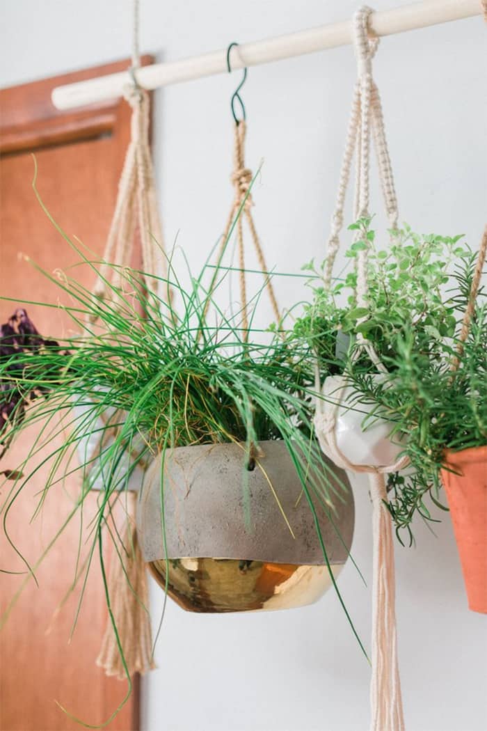 DIY easy wall hanging planters
