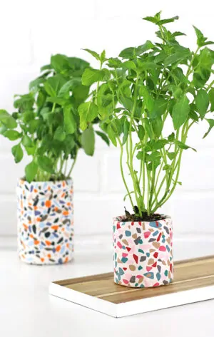 clay terrazzo planter