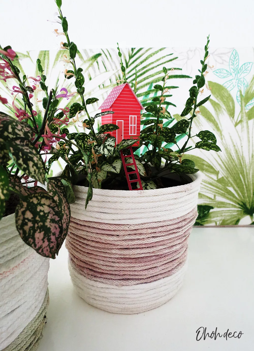place the paper house template in a planter