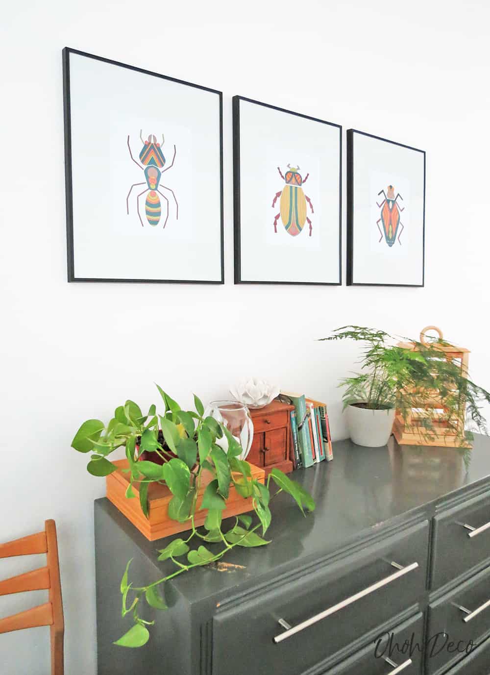 bug wall art prints