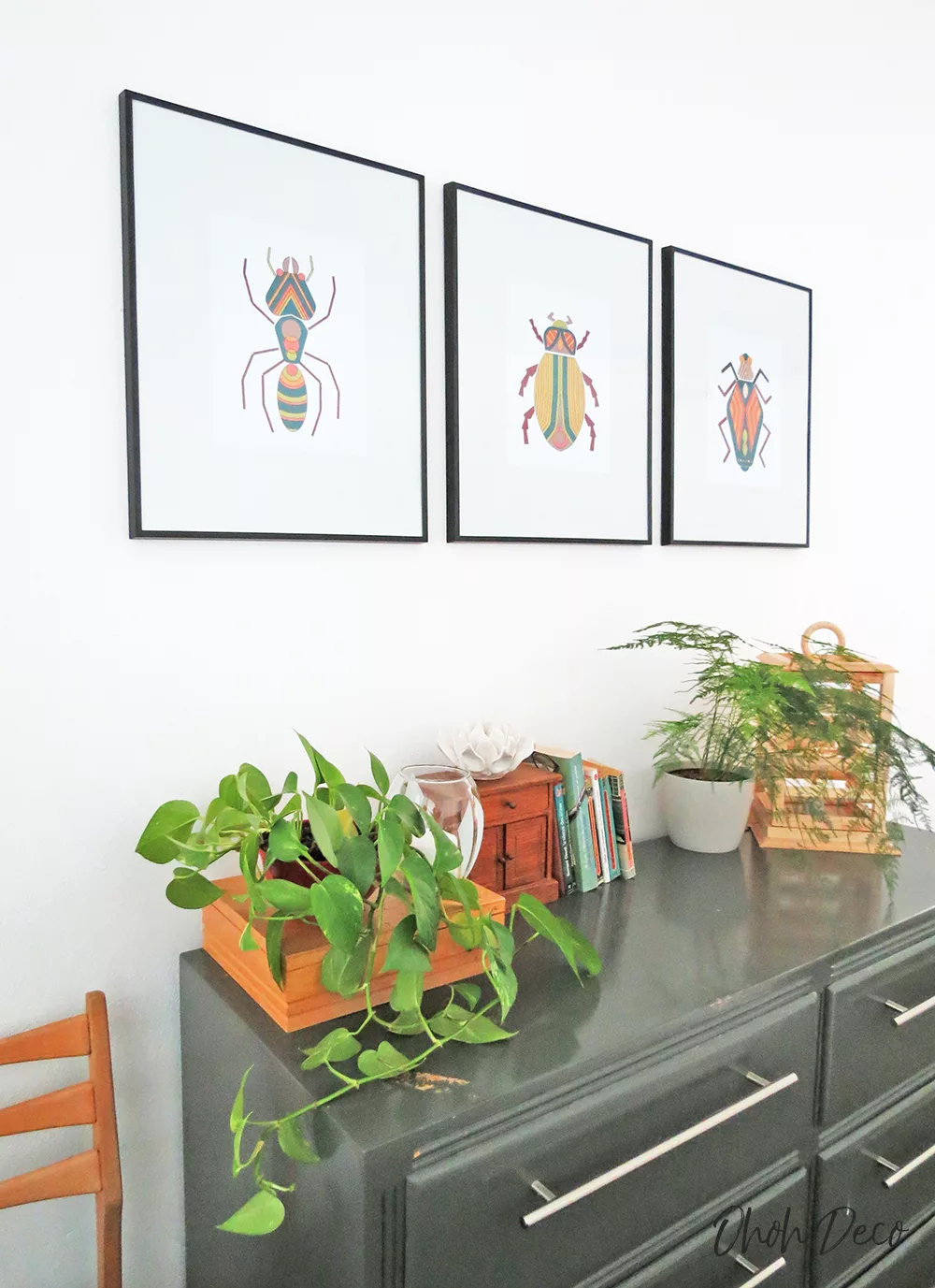 bug wall art prints