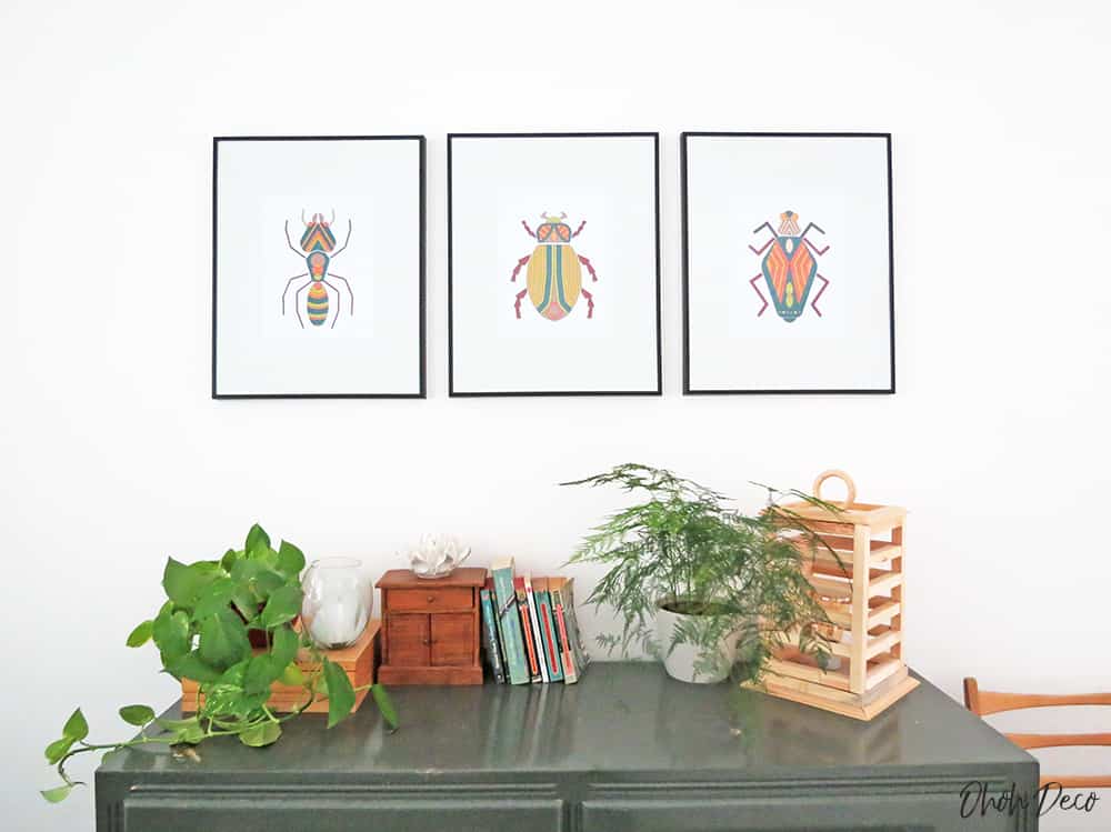 bug wall art prints