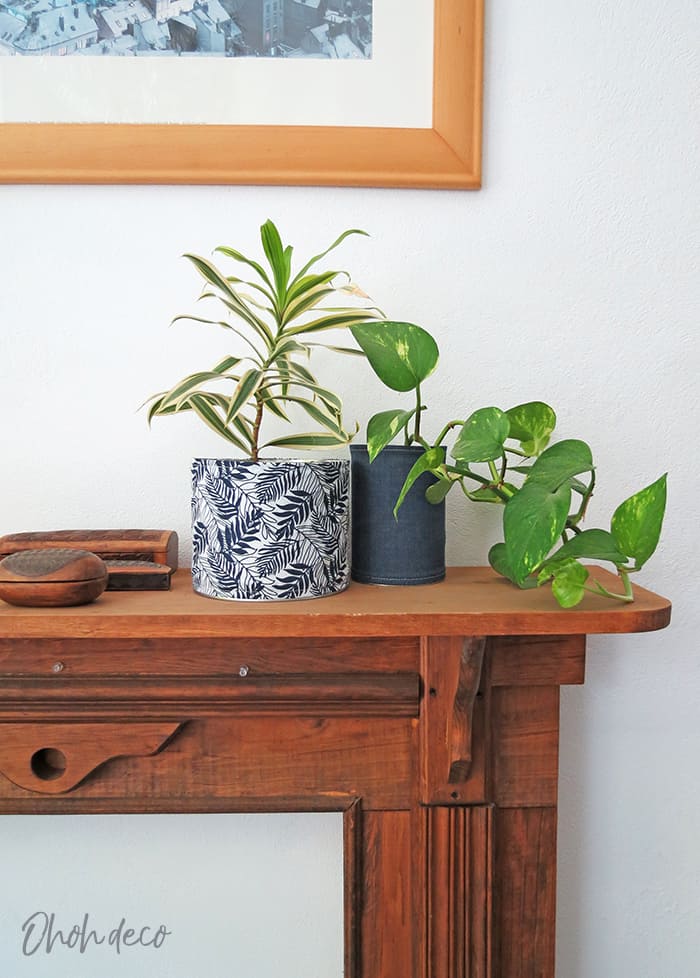 recycled tin cans planters