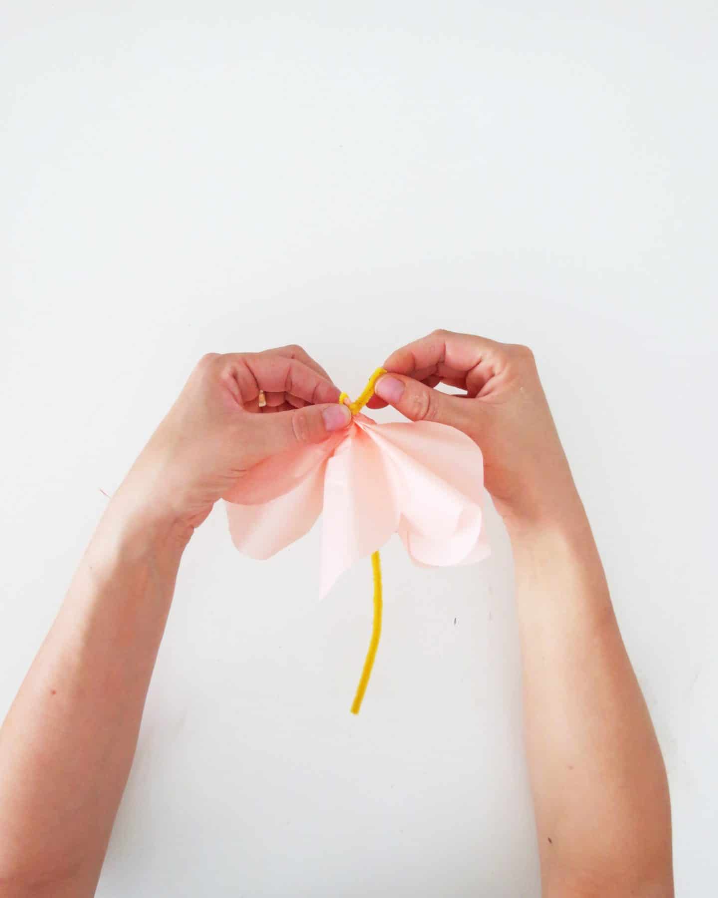 How to make tropical paper flowers