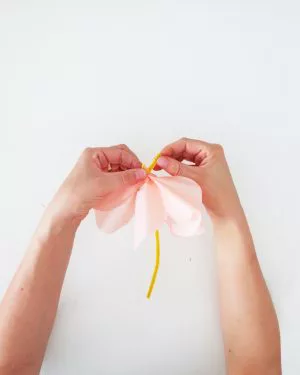 How to make tropical paper flowers