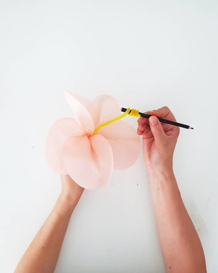 How to make tropical paper flowers