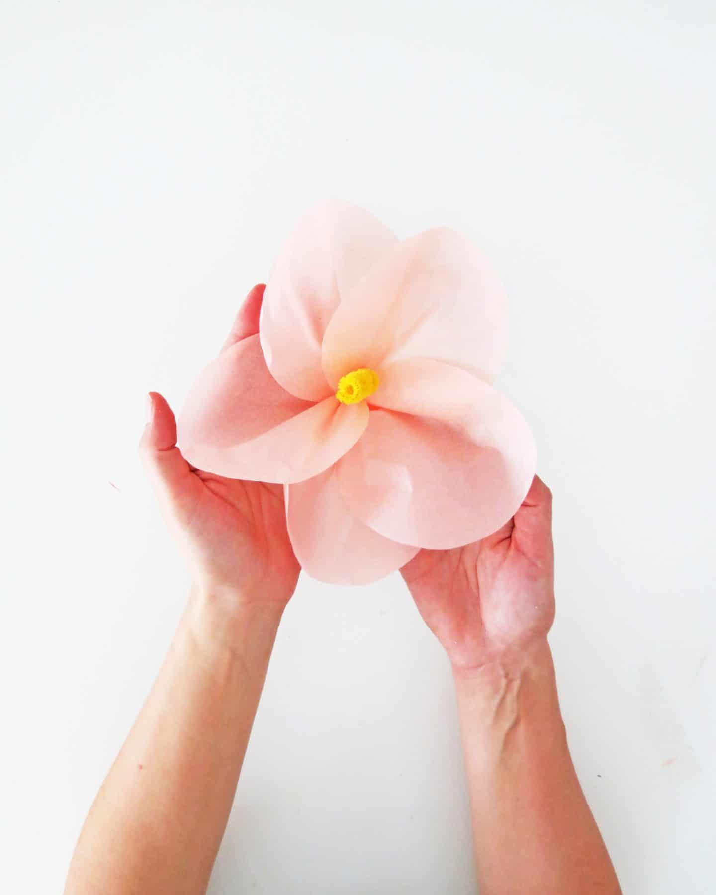 How to make tropical paper flowers