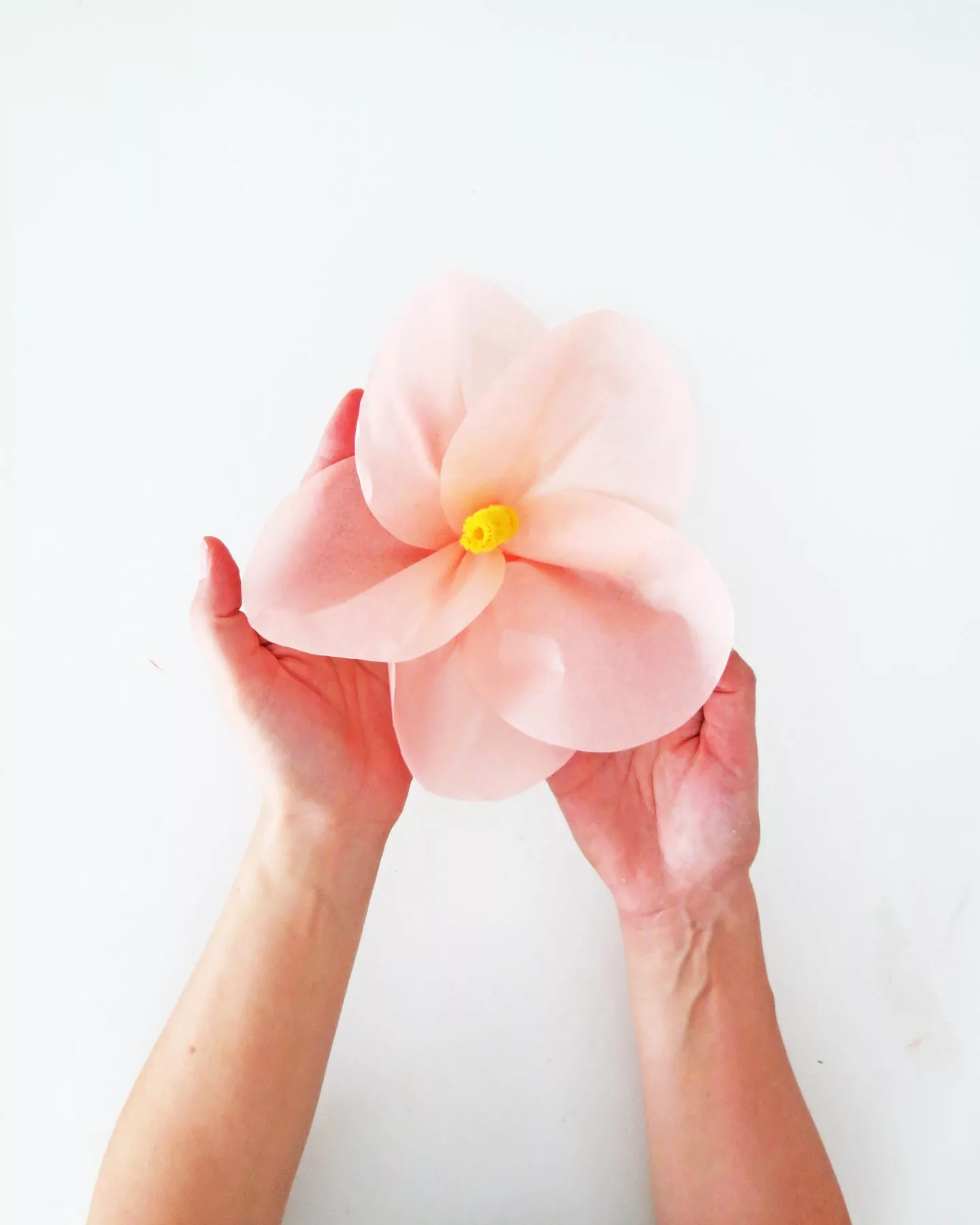 How To Make Tropical Tissue Paper Flowers