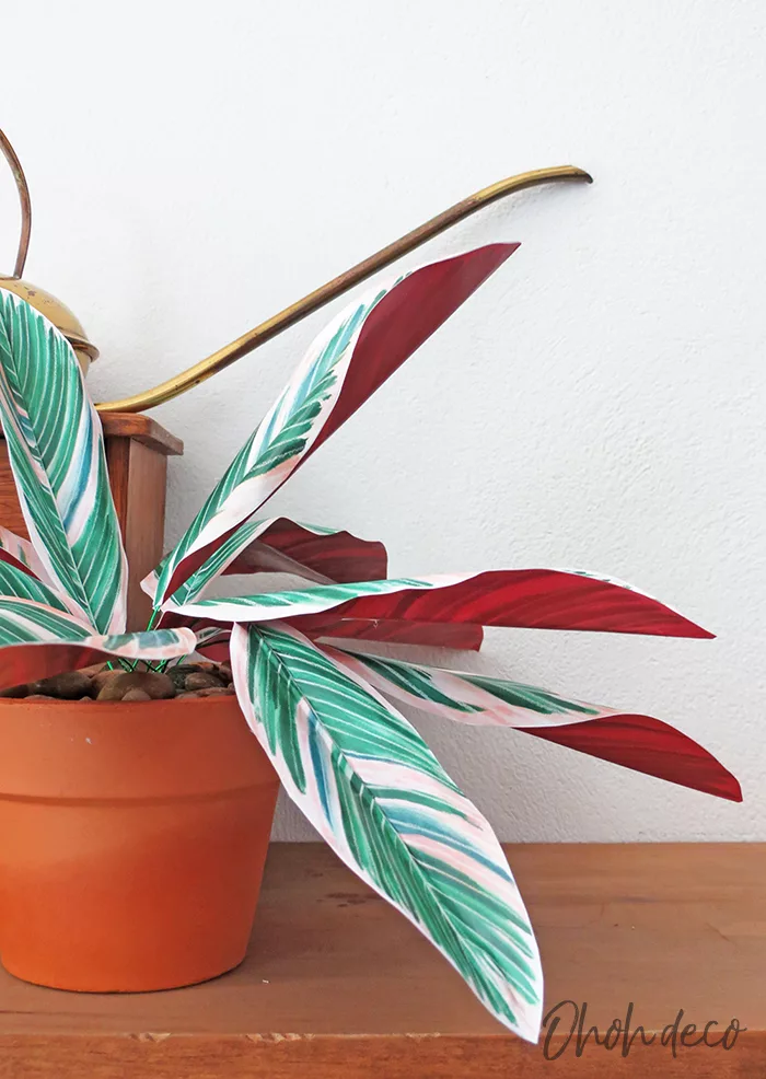 How to make DIY Paper Plants Tricolor Ginger