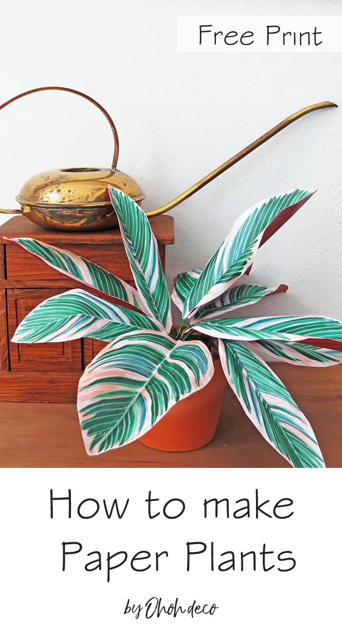 How to make DIY Paper Plants Tricolor Ginger