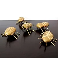 DIY beetles