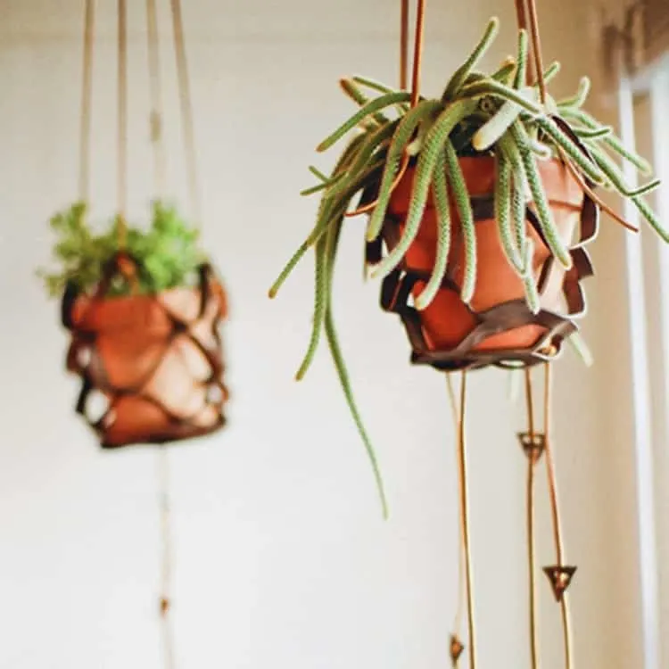 DIY leather plant hanger