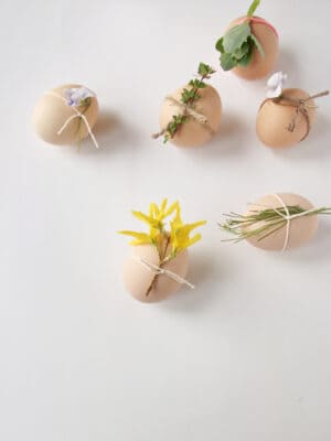 flower eggs decorations