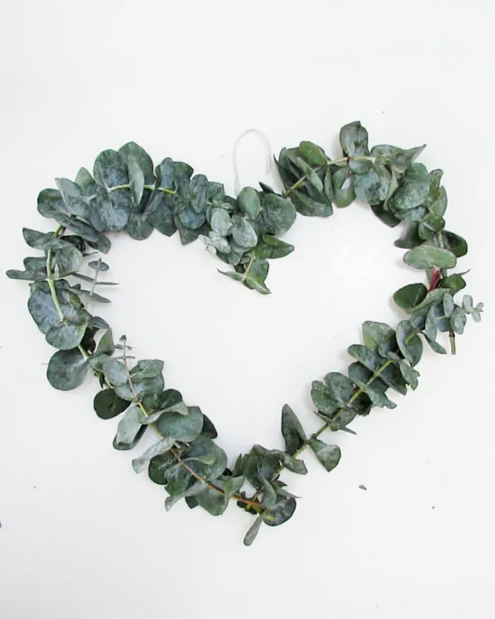 eucaliptus heart