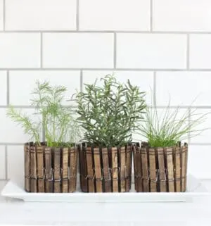 clothes pin planters