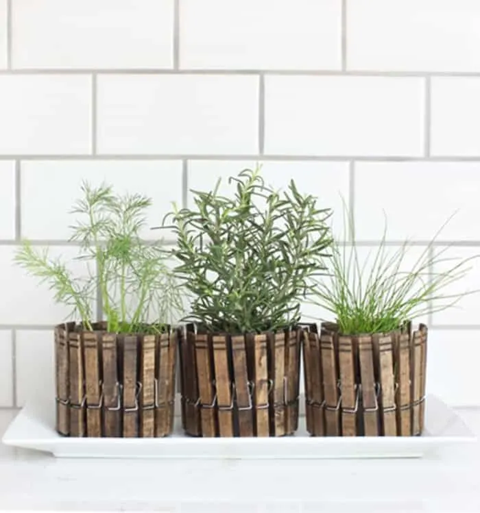 clothes pin planters