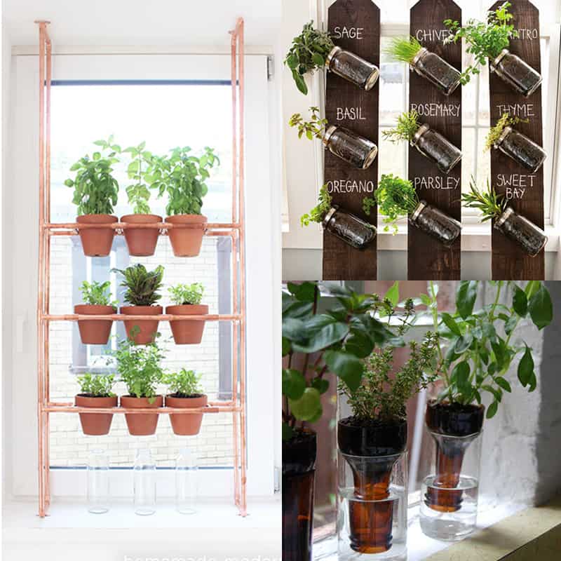 Indoor garden ideas DIY