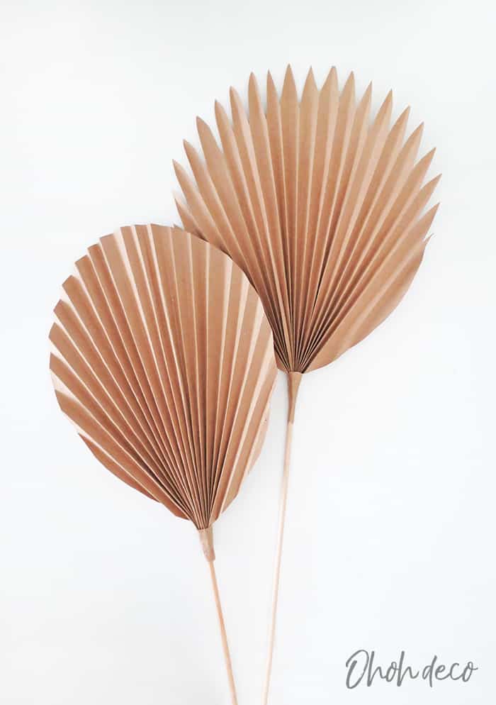 diy paper palm leaf