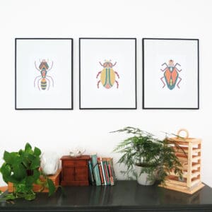 insect bug wall art print