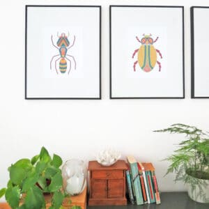 insect bug wall art print