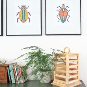 insect bug wall art print