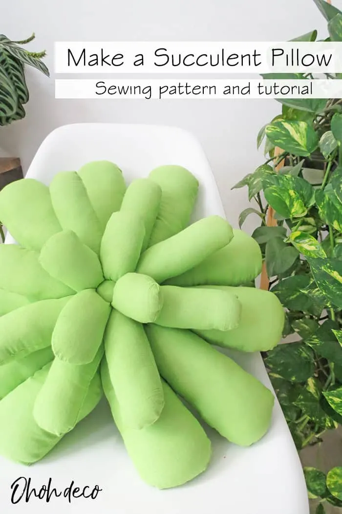 succulent pillow diy