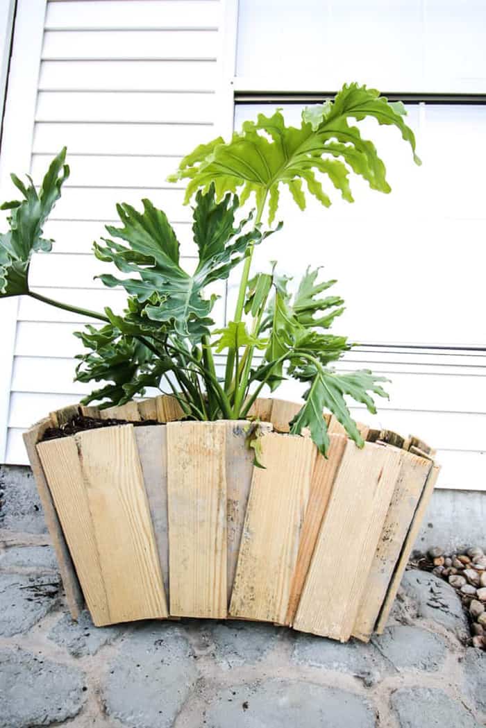 diy palette planter